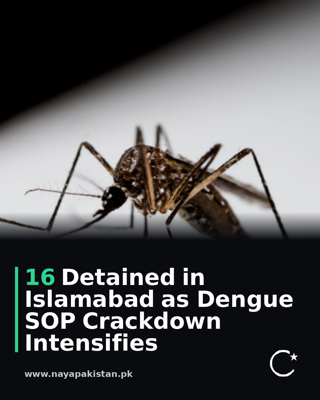 16 Detained in Islamabad as Dengue SOP Crackdown Intensifies