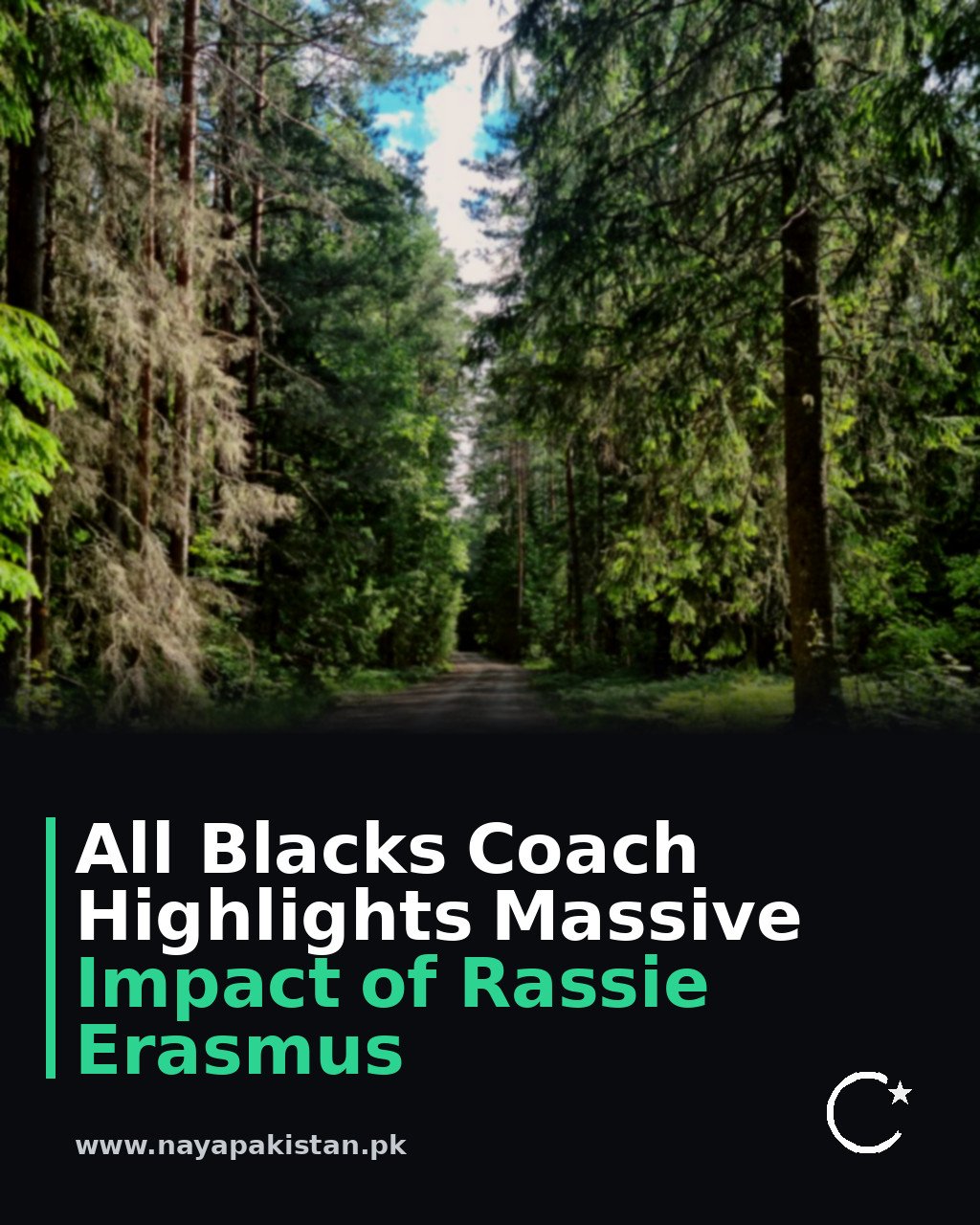All Blacks Coach Highlights Massive Impact of Rassie Erasmus