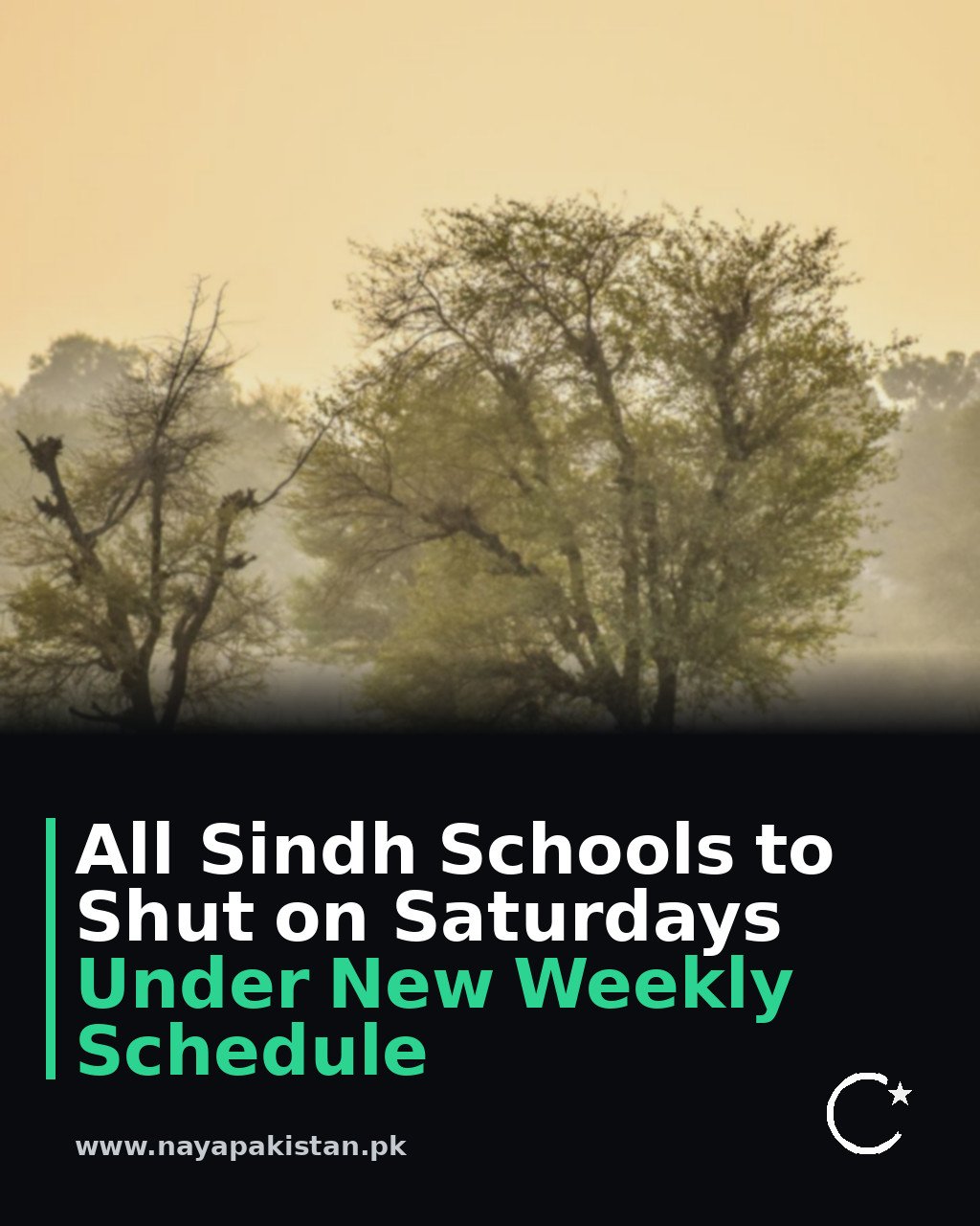 All Sindh Schools to Shut on Saturdays Under New Weekly Schedule