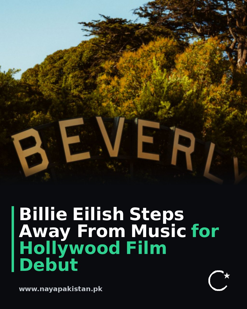 Billie Eilish Steps Away From Music for Hollywood Film Debut