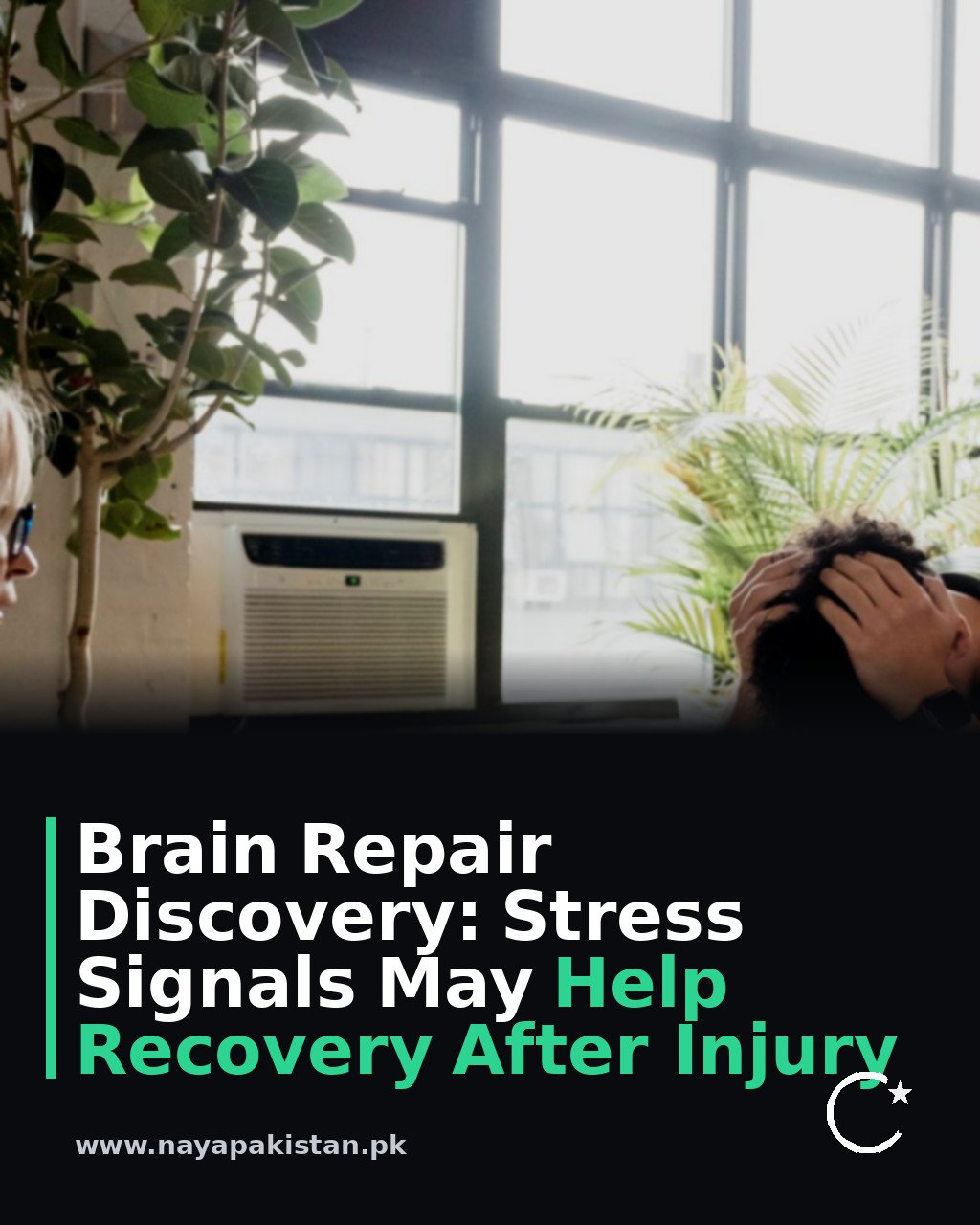 Brain Repair Discovery: Stress Signals May Help Recovery After Injury