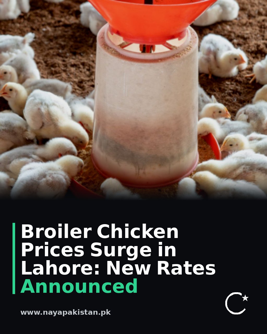 Broiler Chicken Prices Surge in Lahore: New Rates Announced