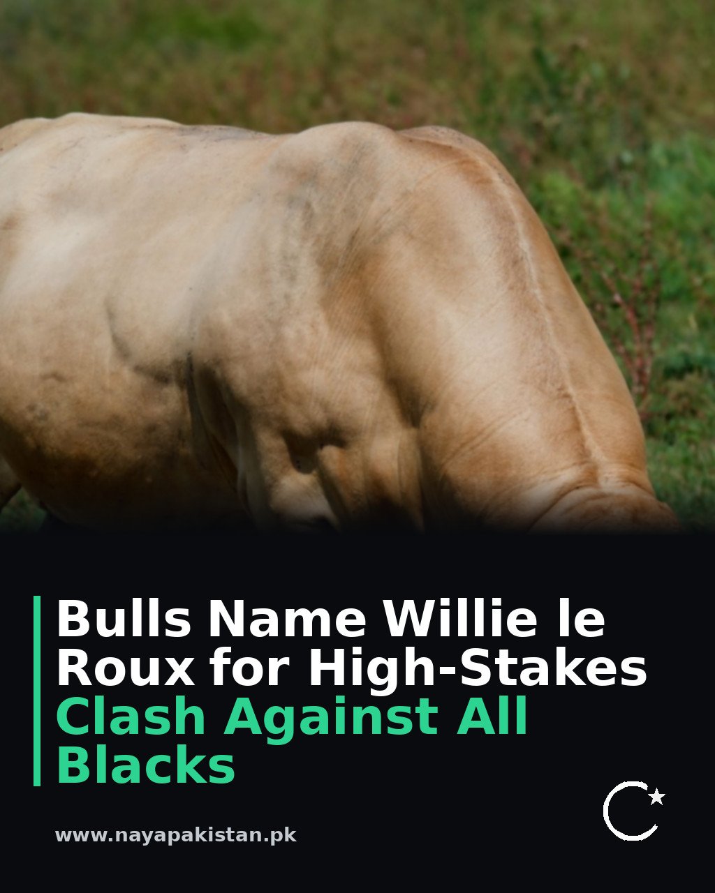 Bulls Name Willie le Roux for High-Stakes Clash Against All Blacks