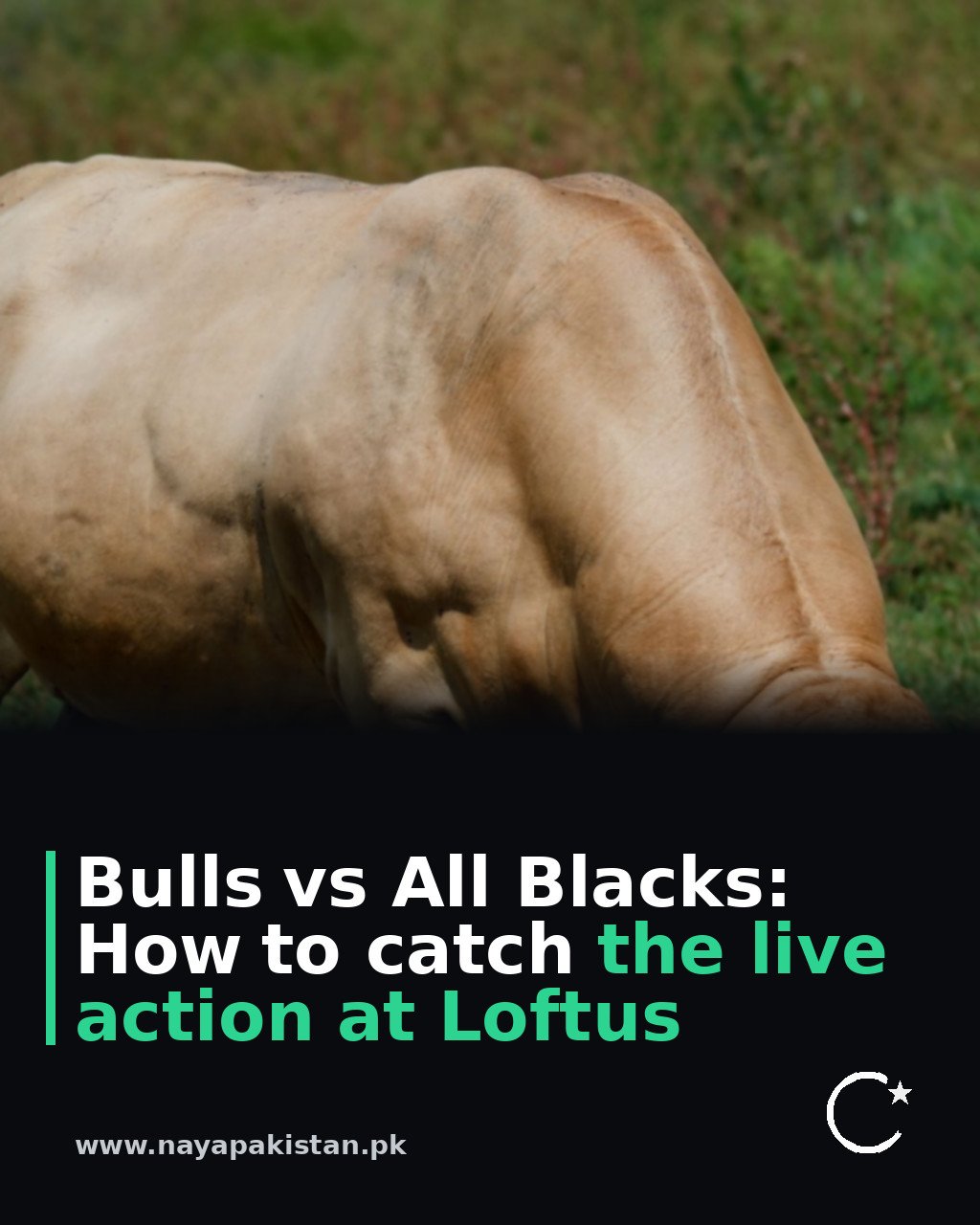 Bulls vs All Blacks: How to catch the live action at Loftus