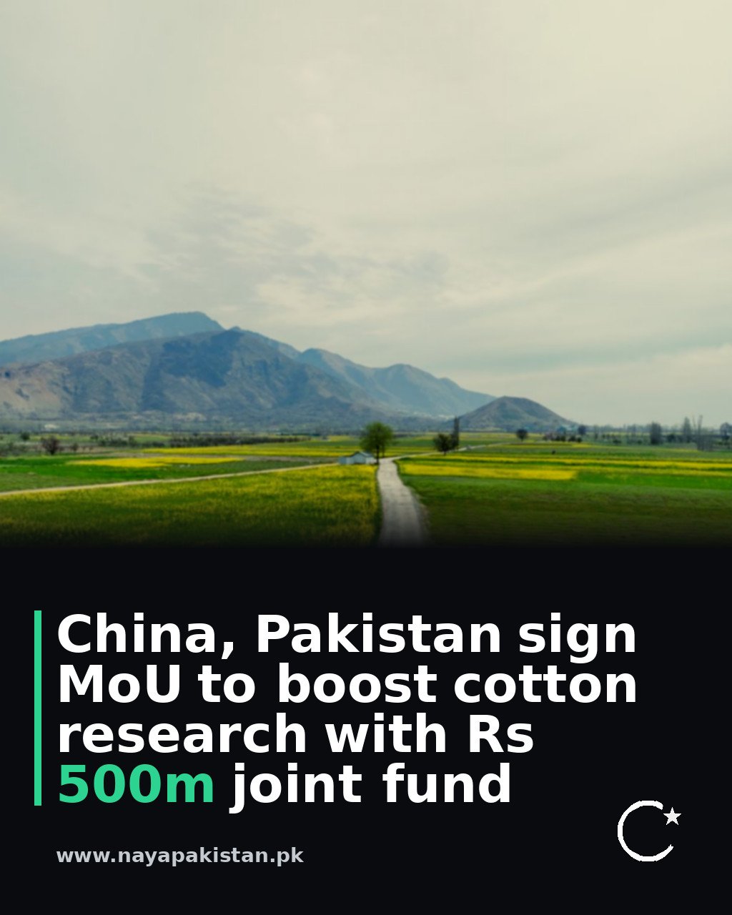 China, Pakistan sign MoU to boost cotton research with Rs 500m joint fund
