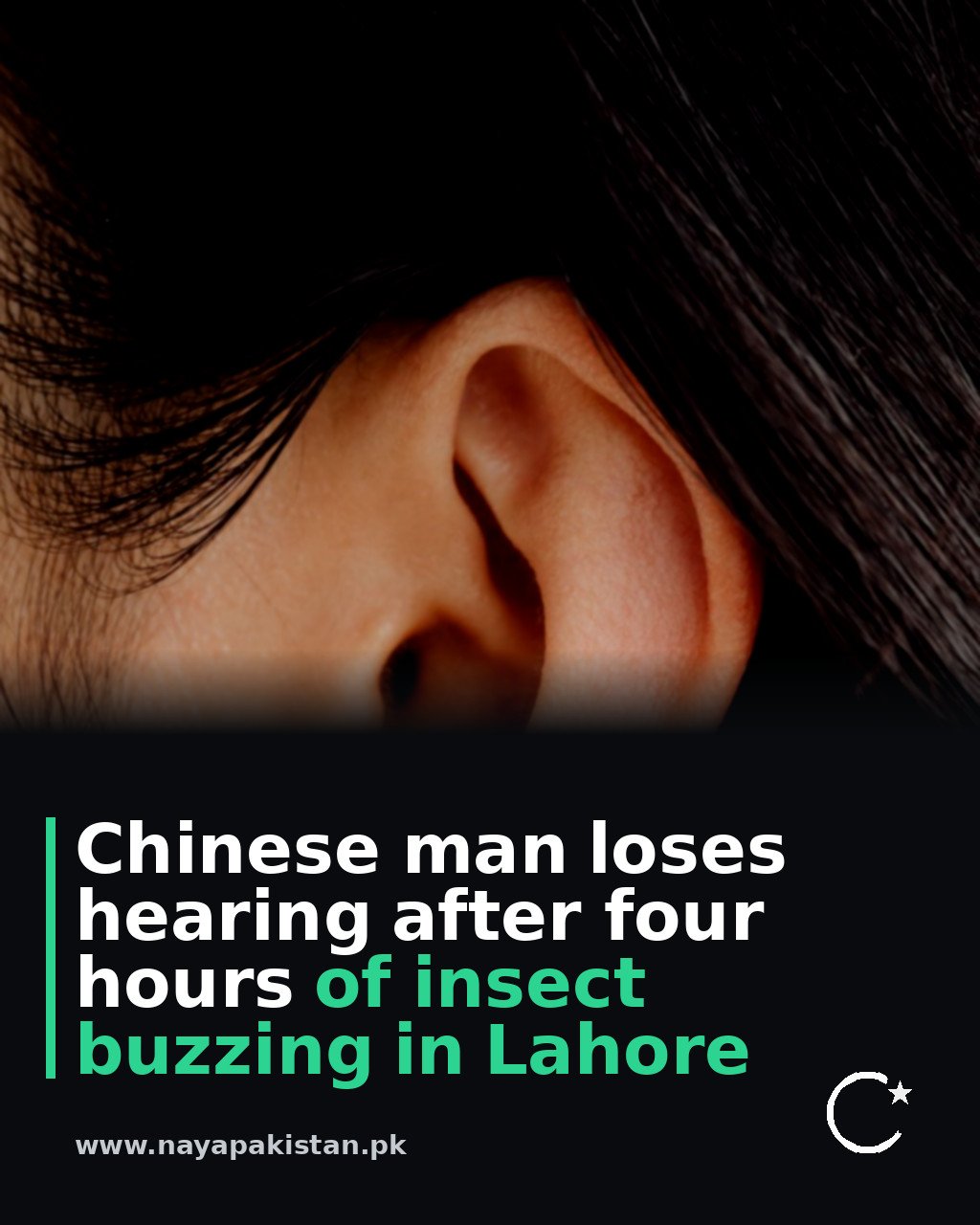 Chinese man loses hearing after four hours of insect buzzing in Lahore