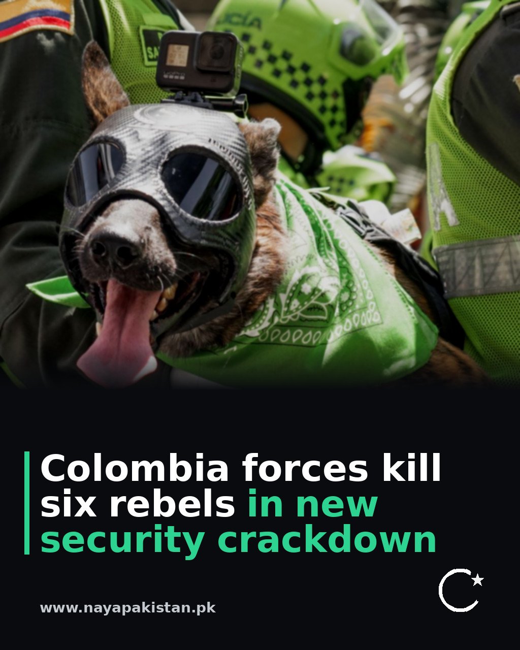 Colombia forces kill six rebels in new security crackdown