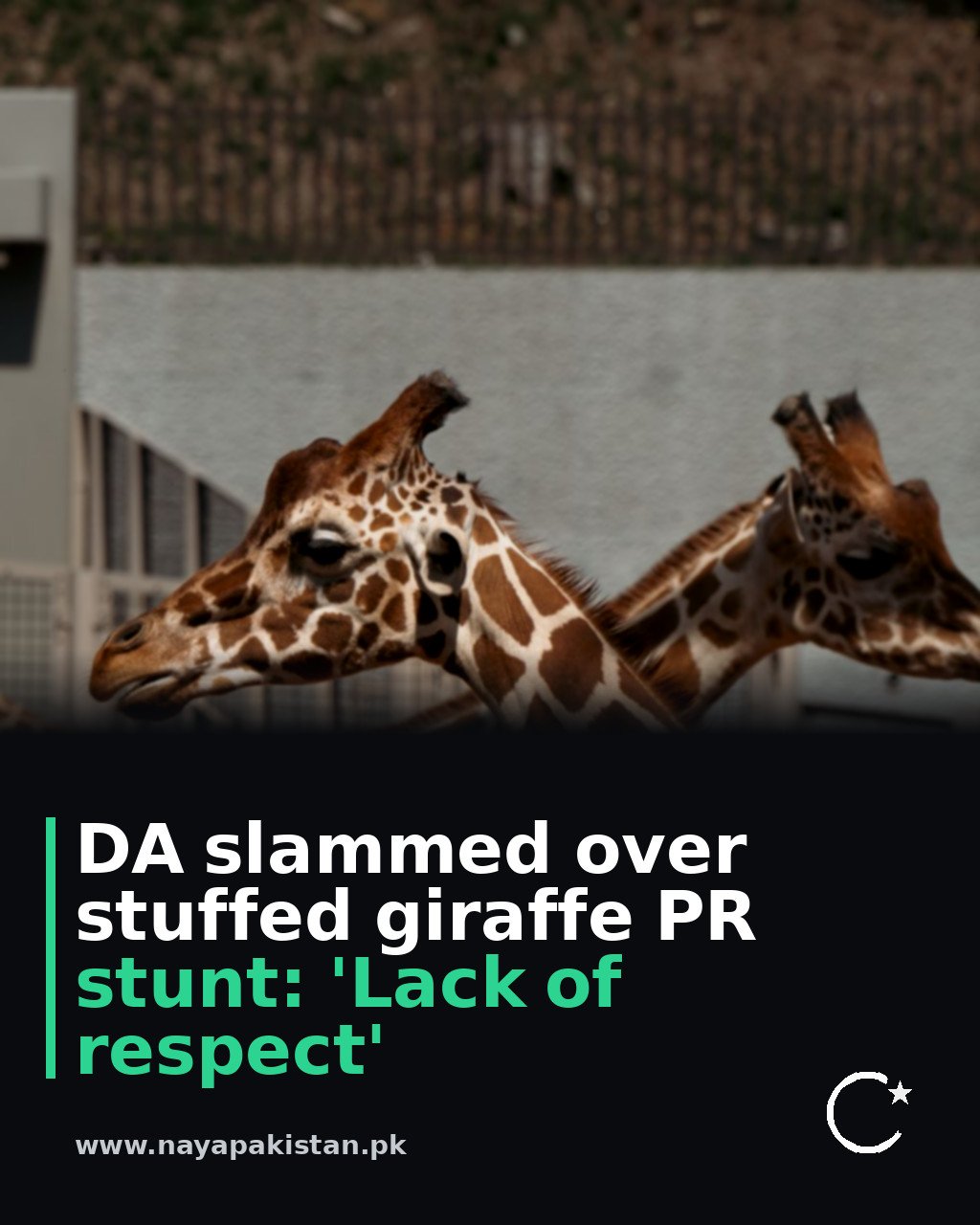 DA slammed over stuffed giraffe PR stunt: 'Lack of respect'