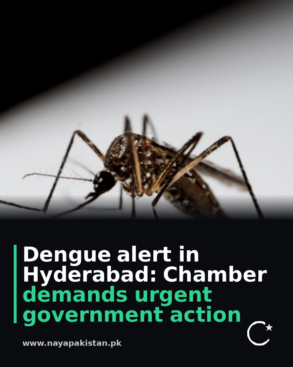 Dengue alert in Hyderabad: Chamber demands urgent government action