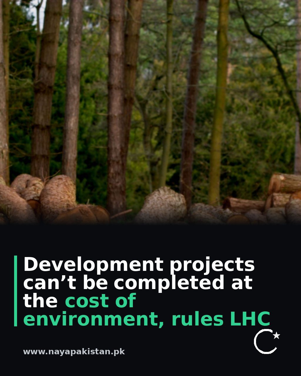 Development projects can’t be completed at the cost of environment, rules LHC