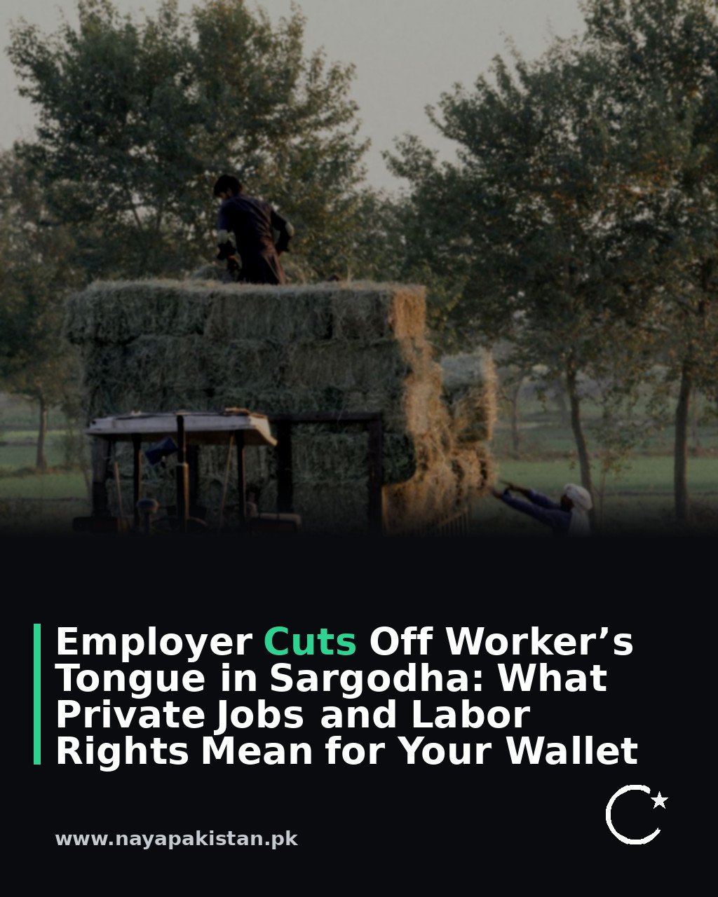 Employer Cuts Off Worker’s Tongue in Sargodha: What Private Jobs and Labor Rights Mean for Your Wallet