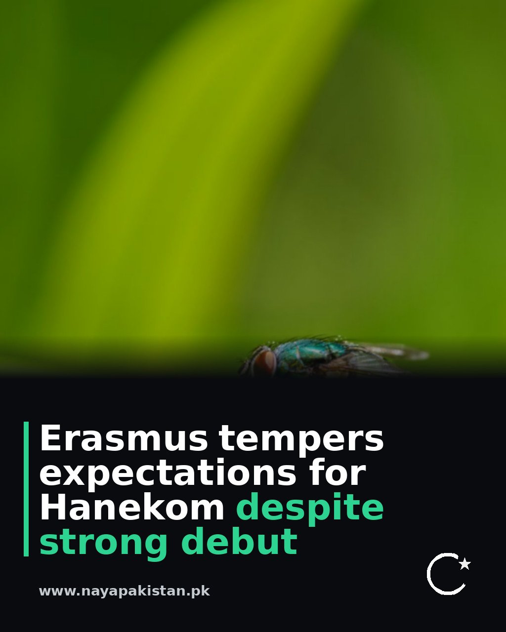 Erasmus tempers expectations for Hanekom despite strong debut