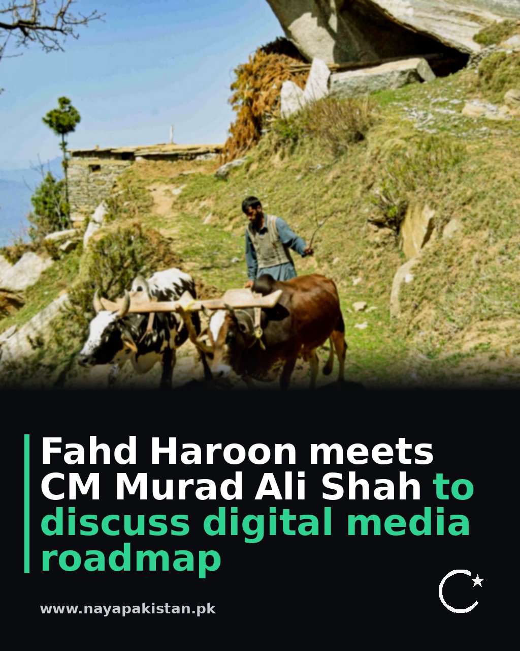 Fahd Haroon meets CM Murad Ali Shah to discuss digital media roadmap
