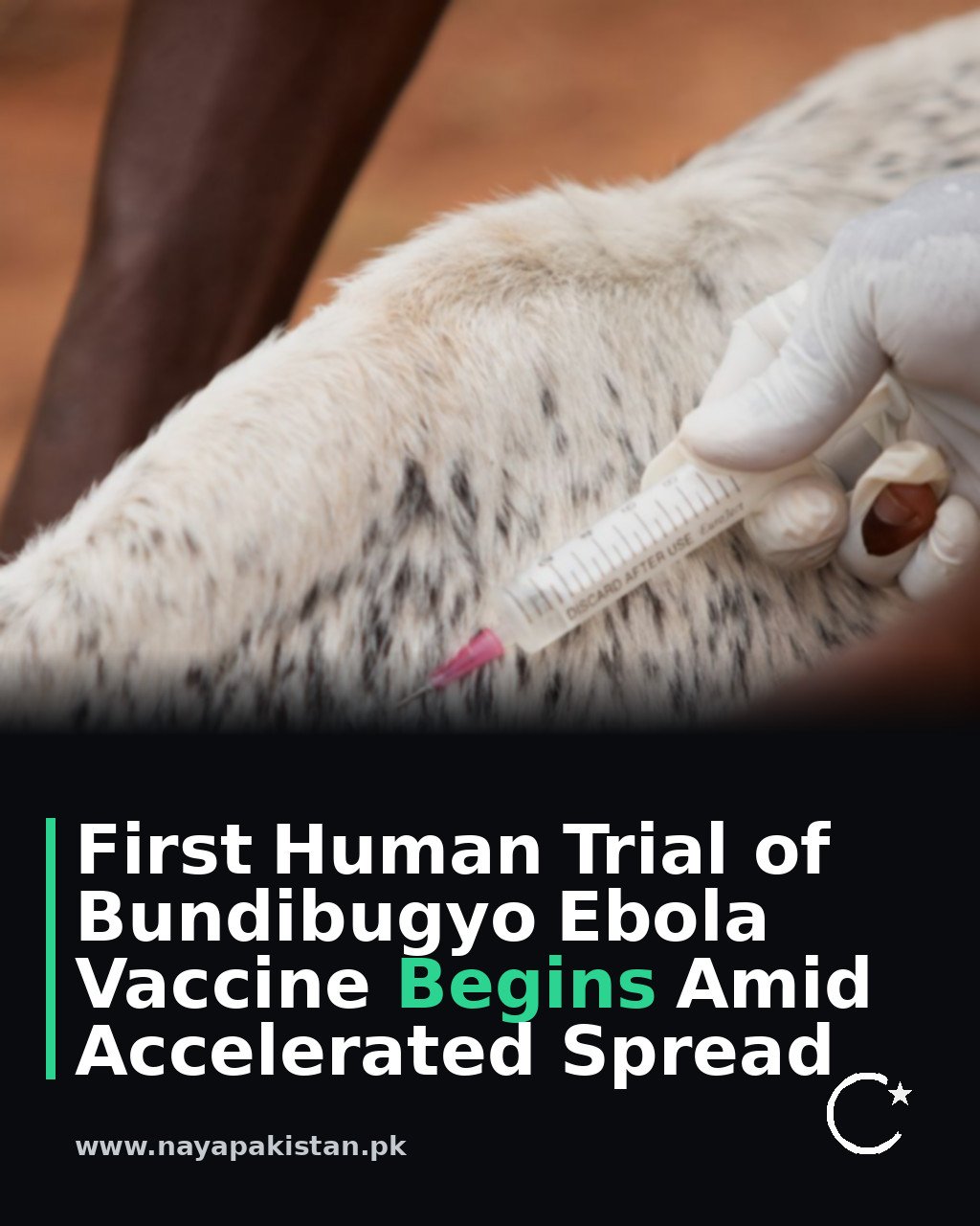 First Human Trial of Bundibugyo Ebola Vaccine Begins Amid Accelerated Spread