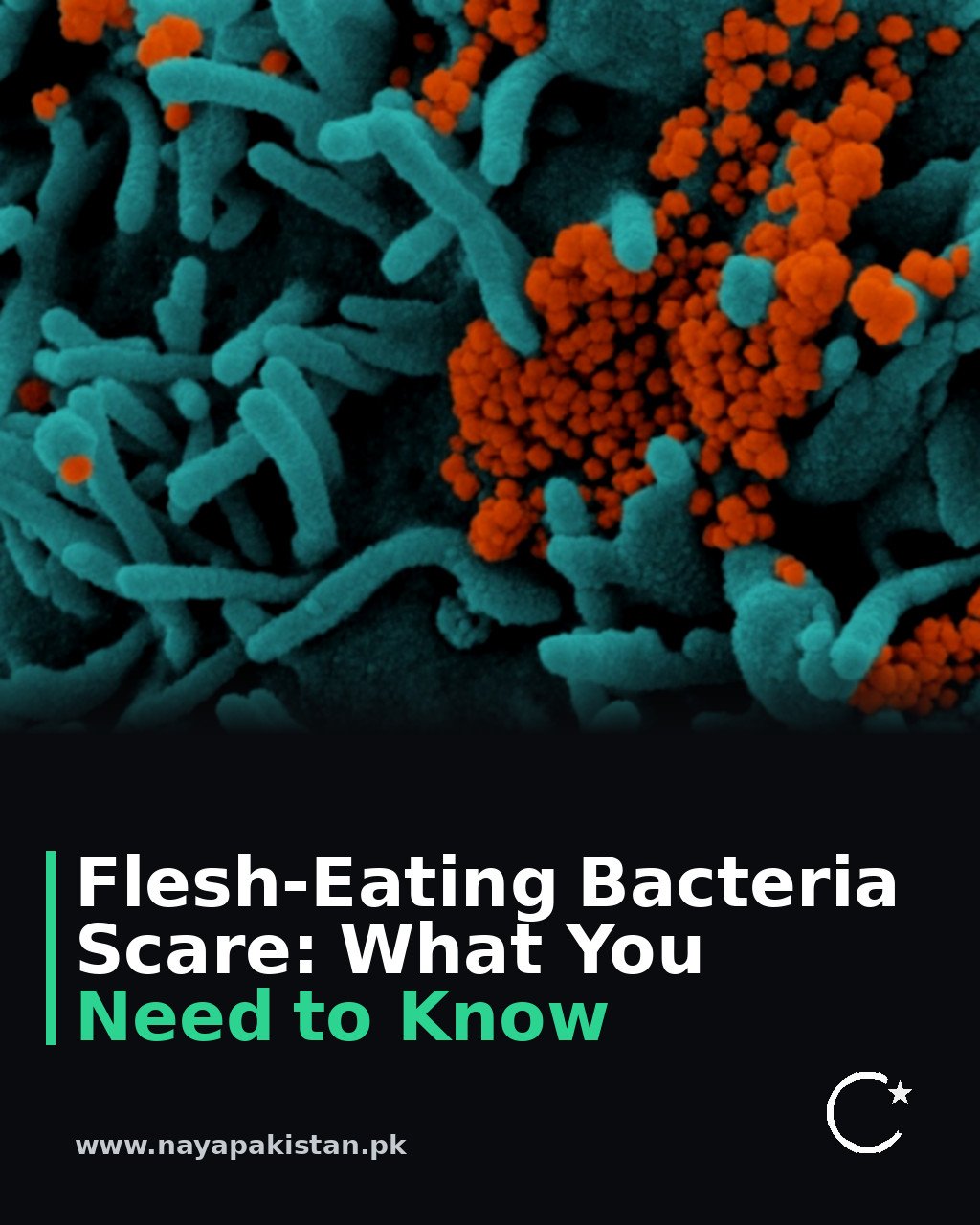 Flesh-Eating Bacteria Scare: What You Need to Know