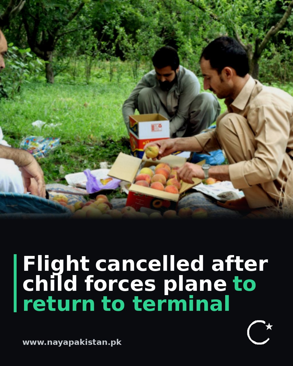 Flight cancelled after child forces plane to return to terminal