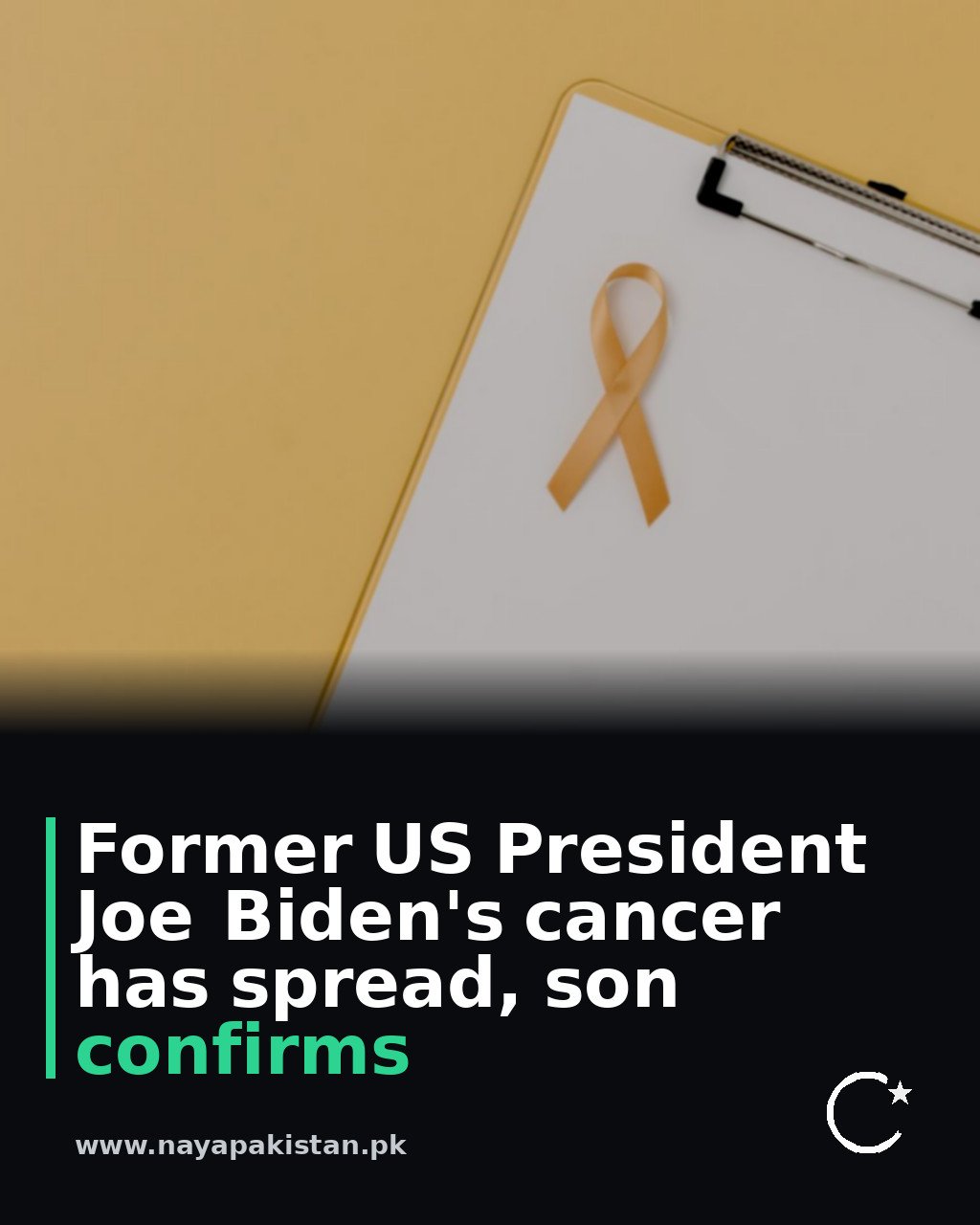 Former US President Joe Biden's cancer has spread, son confirms