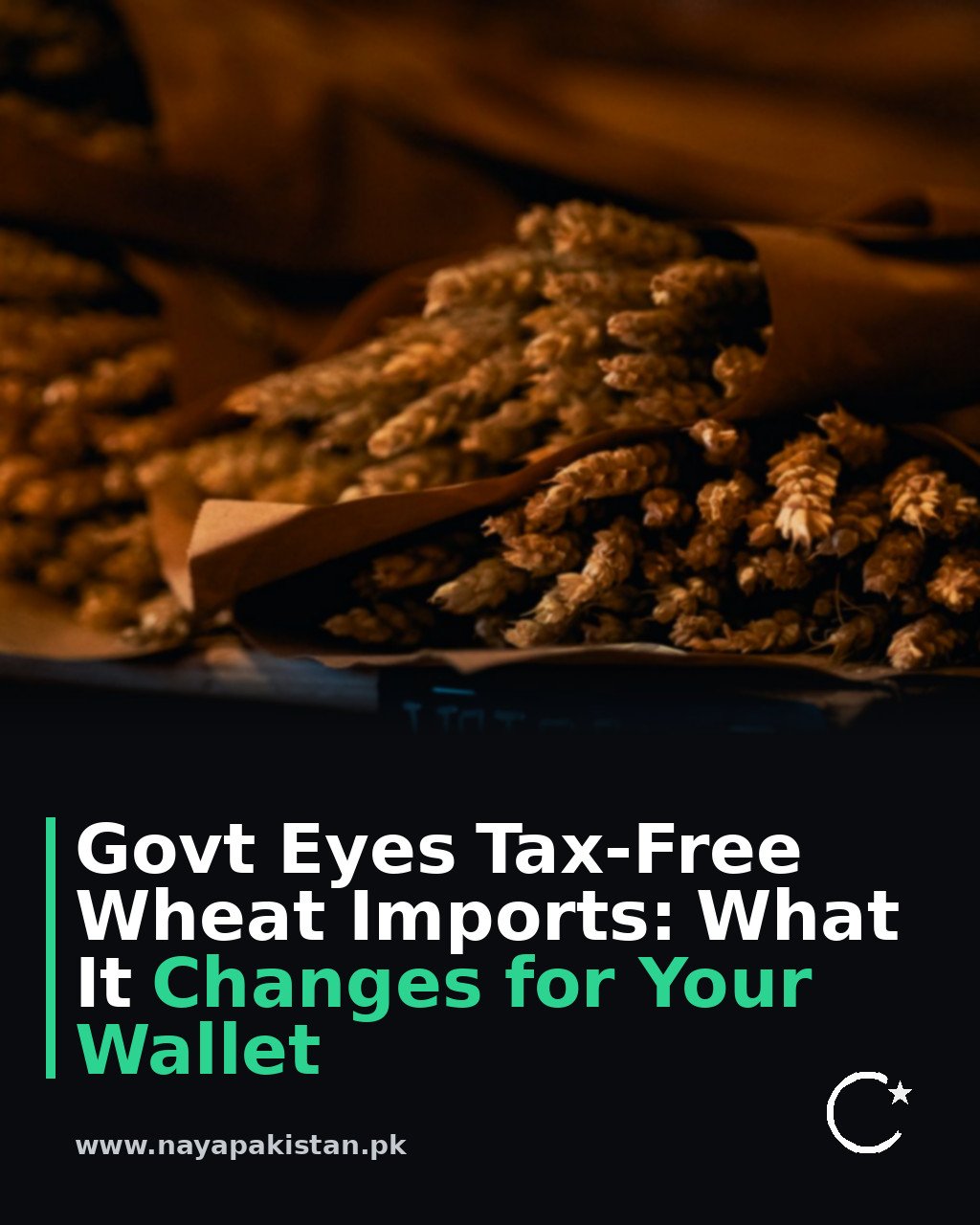 Govt Eyes Tax-Free Wheat Imports: What It Changes for Your Wallet