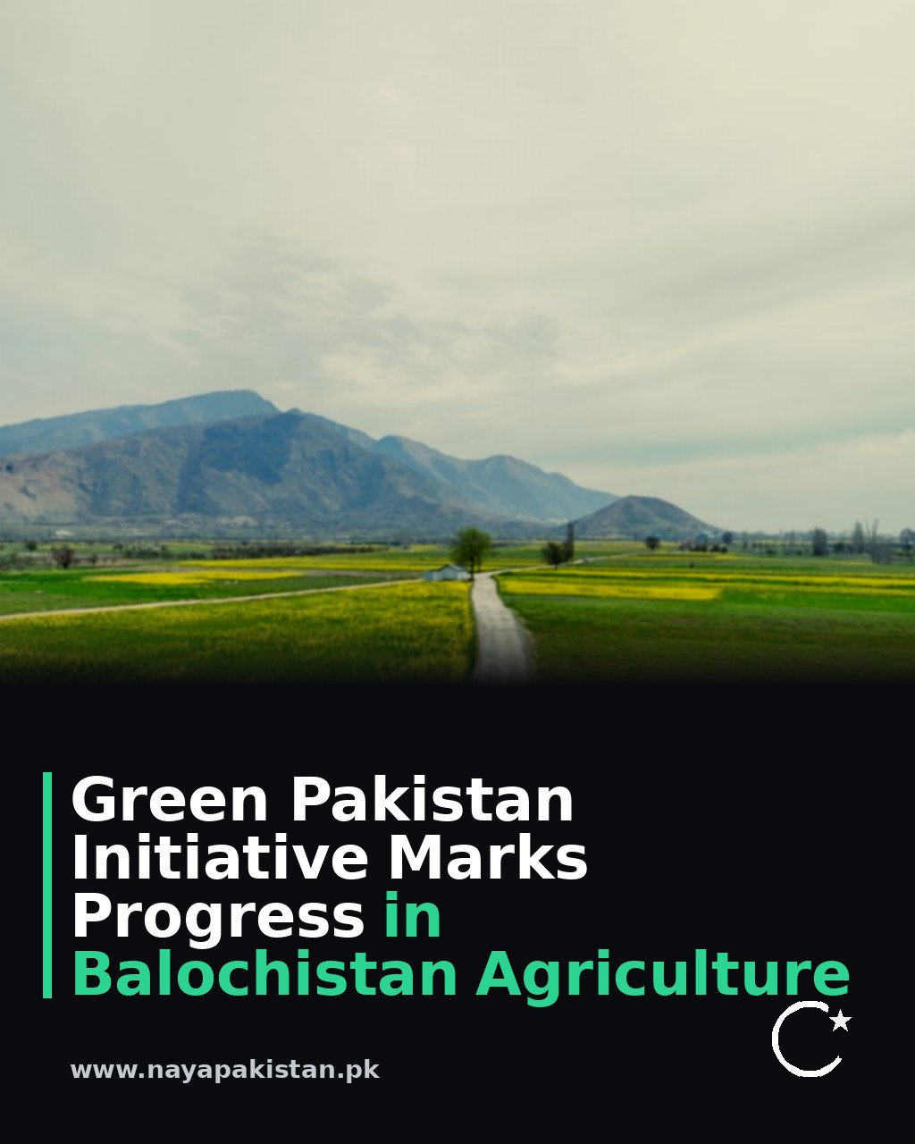 Green Pakistan Initiative Marks Progress in Balochistan Agriculture