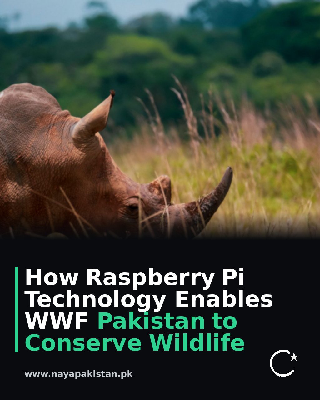 How Raspberry Pi Technology Enables WWF Pakistan to Conserve Wildlife