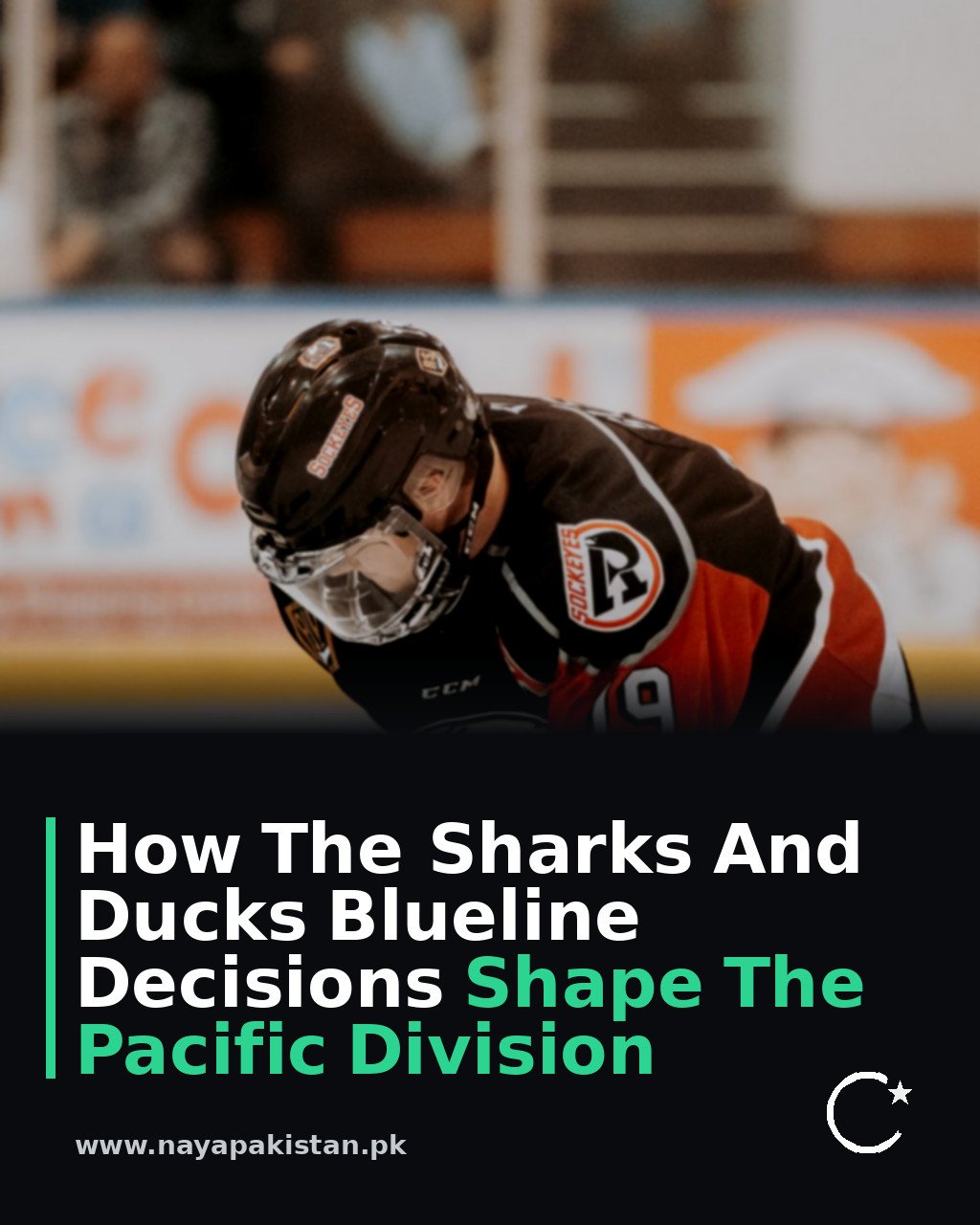 How The Sharks And Ducks Blueline Decisions Shape The Pacific Division