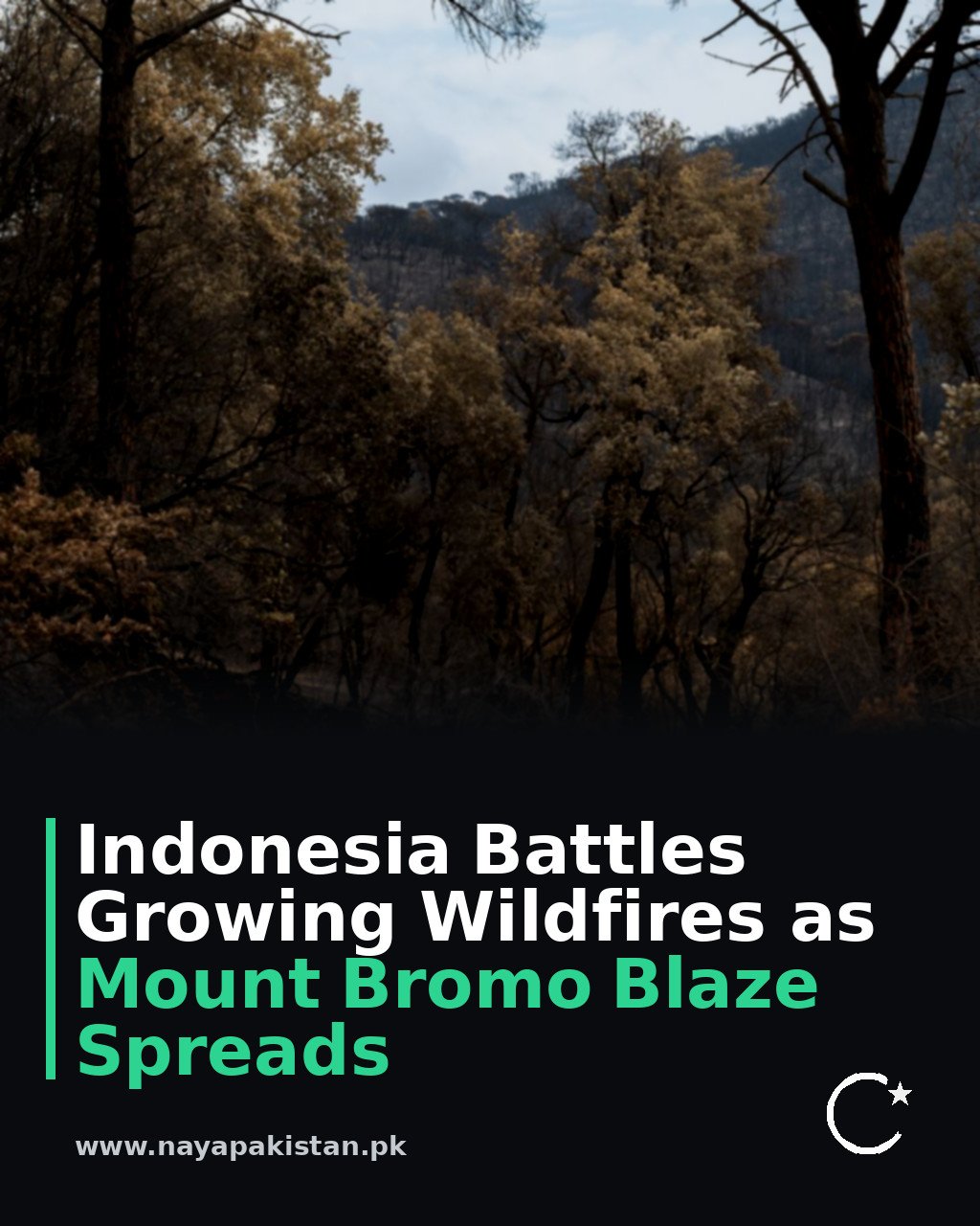 Indonesia Battles Growing Wildfires as Mount Bromo Blaze Spreads