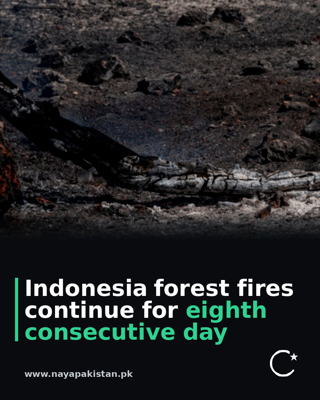 Indonesia forest fires continue for eighth consecutive day