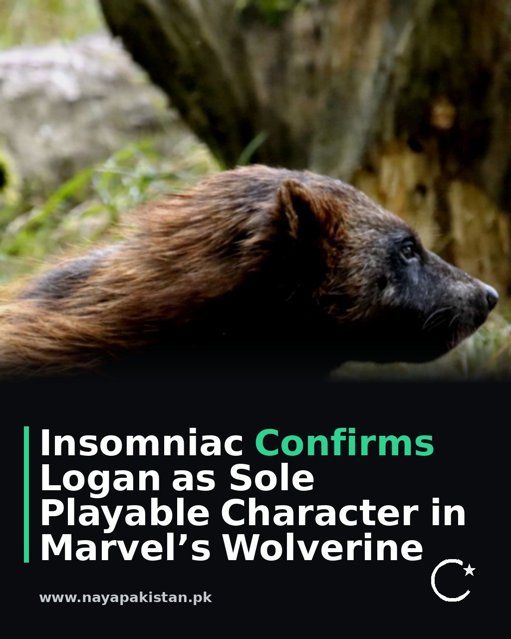 Insomniac Confirms Logan as Sole Playable Character in Marvel’s Wolverine