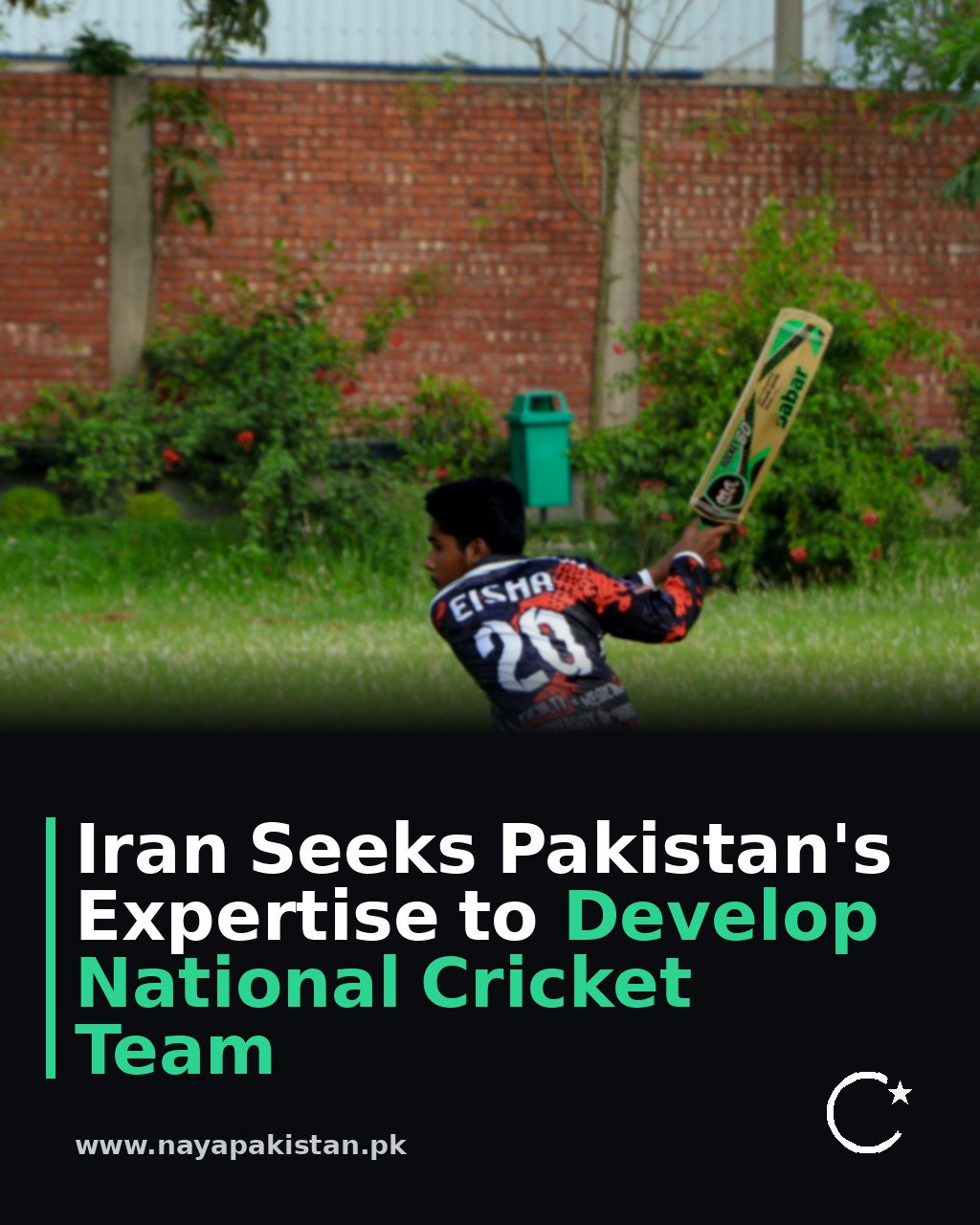 Iran Seeks Pakistan's Expertise to Develop National Cricket Team