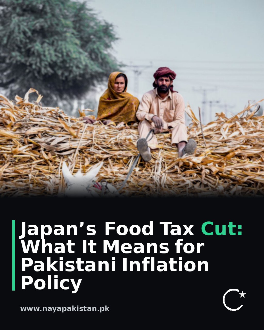 Japan’s Food Tax Cut: What It Means for Pakistani Inflation Policy