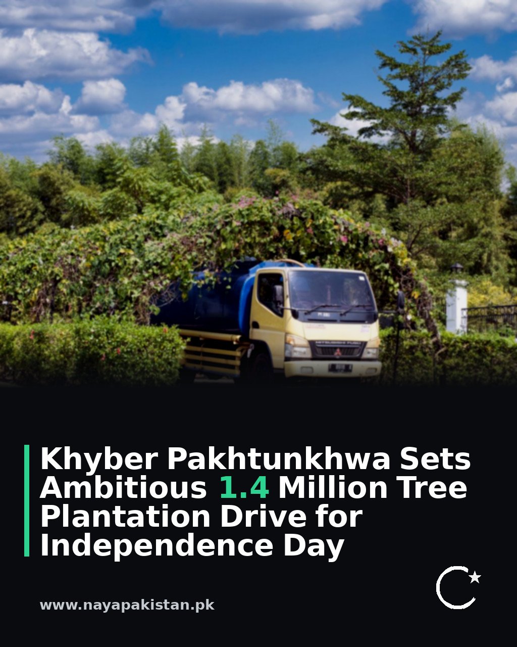 Khyber Pakhtunkhwa Sets Ambitious 1.4 Million Tree Plantation Drive for Independence Day