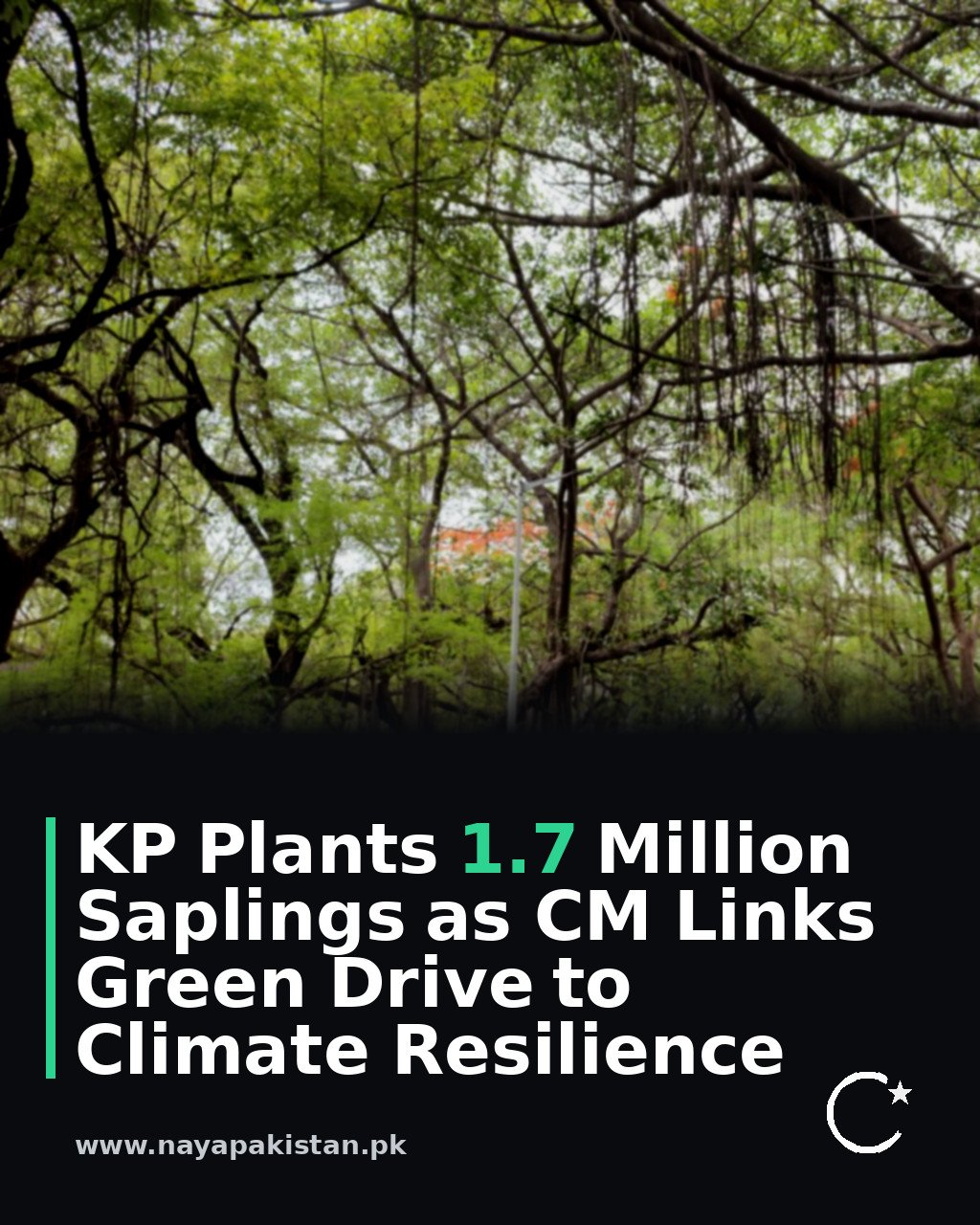 KP Plants 1.7 Million Saplings as CM Links Green Drive to Climate Resilience