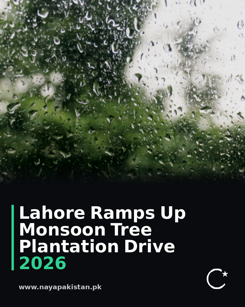 Lahore Ramps Up Monsoon Tree Plantation Drive 2026