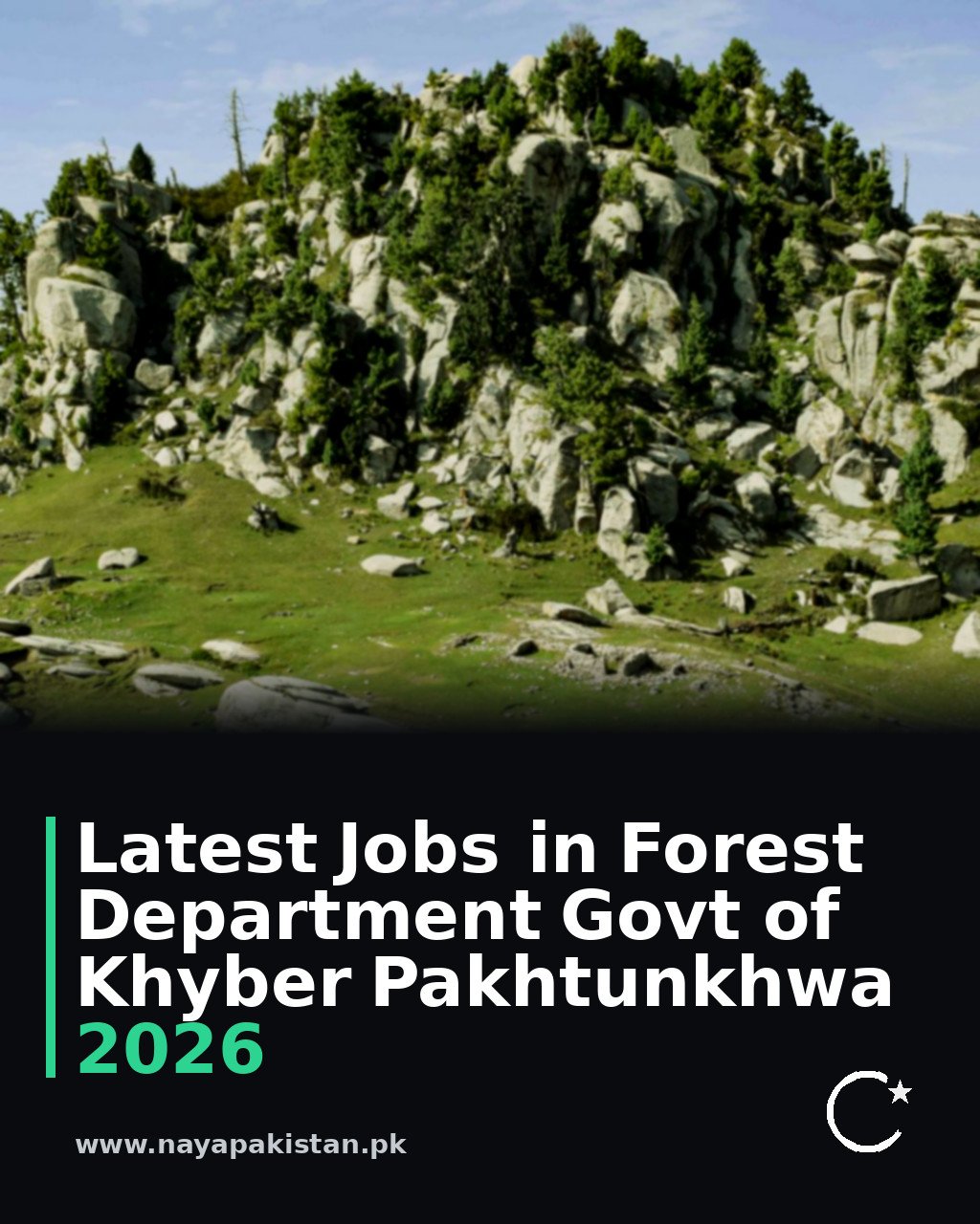 Latest Jobs in Forest Department Govt of Khyber Pakhtunkhwa 2026