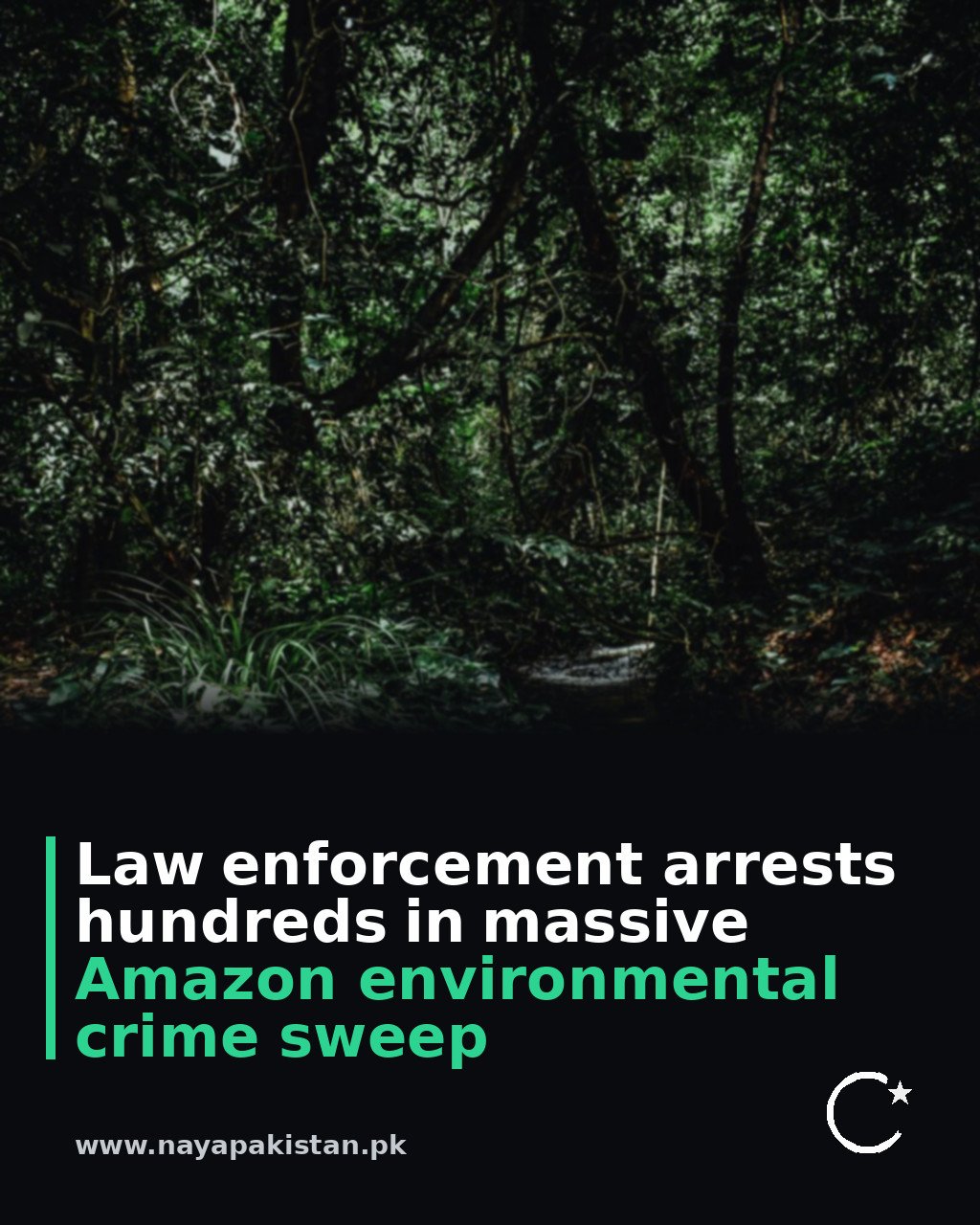 Law enforcement arrests hundreds in massive Amazon environmental crime sweep