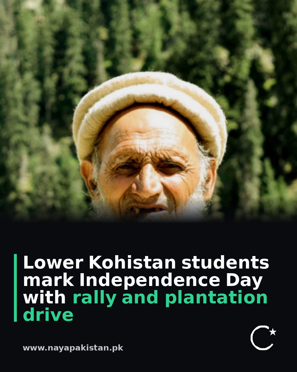 Lower Kohistan students mark Independence Day with rally and plantation drive