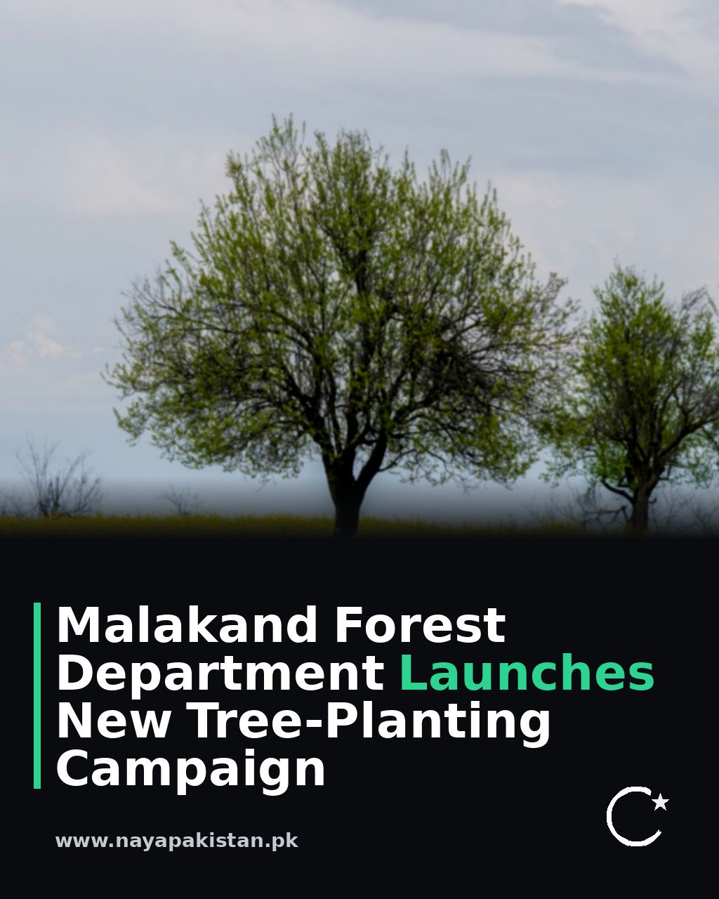 Malakand Forest Department Launches New Tree-Planting Campaign