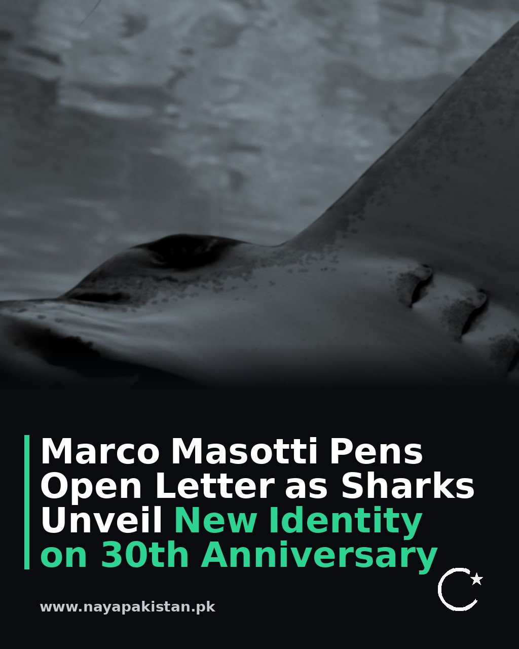 Marco Masotti Pens Open Letter as Sharks Unveil New Identity on 30th Anniversary