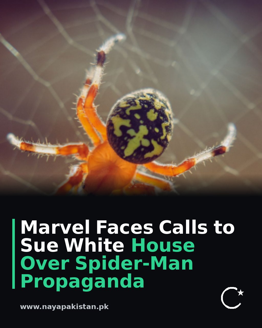 Marvel Faces Calls to Sue White House Over Spider-Man Propaganda