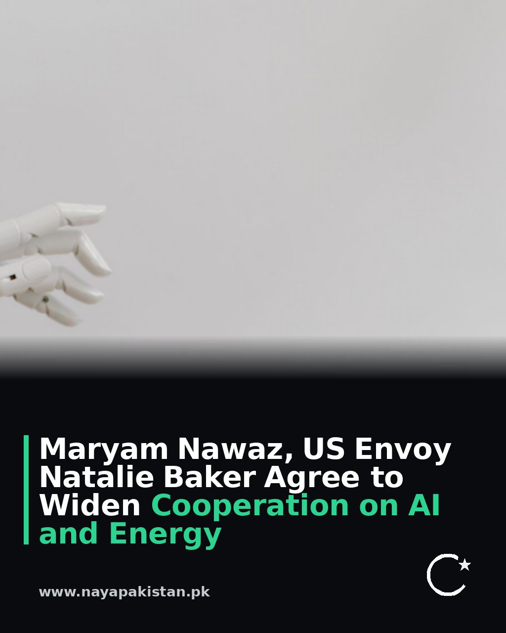 Maryam Nawaz, US Envoy Natalie Baker Agree to Widen Cooperation on AI and Energy
