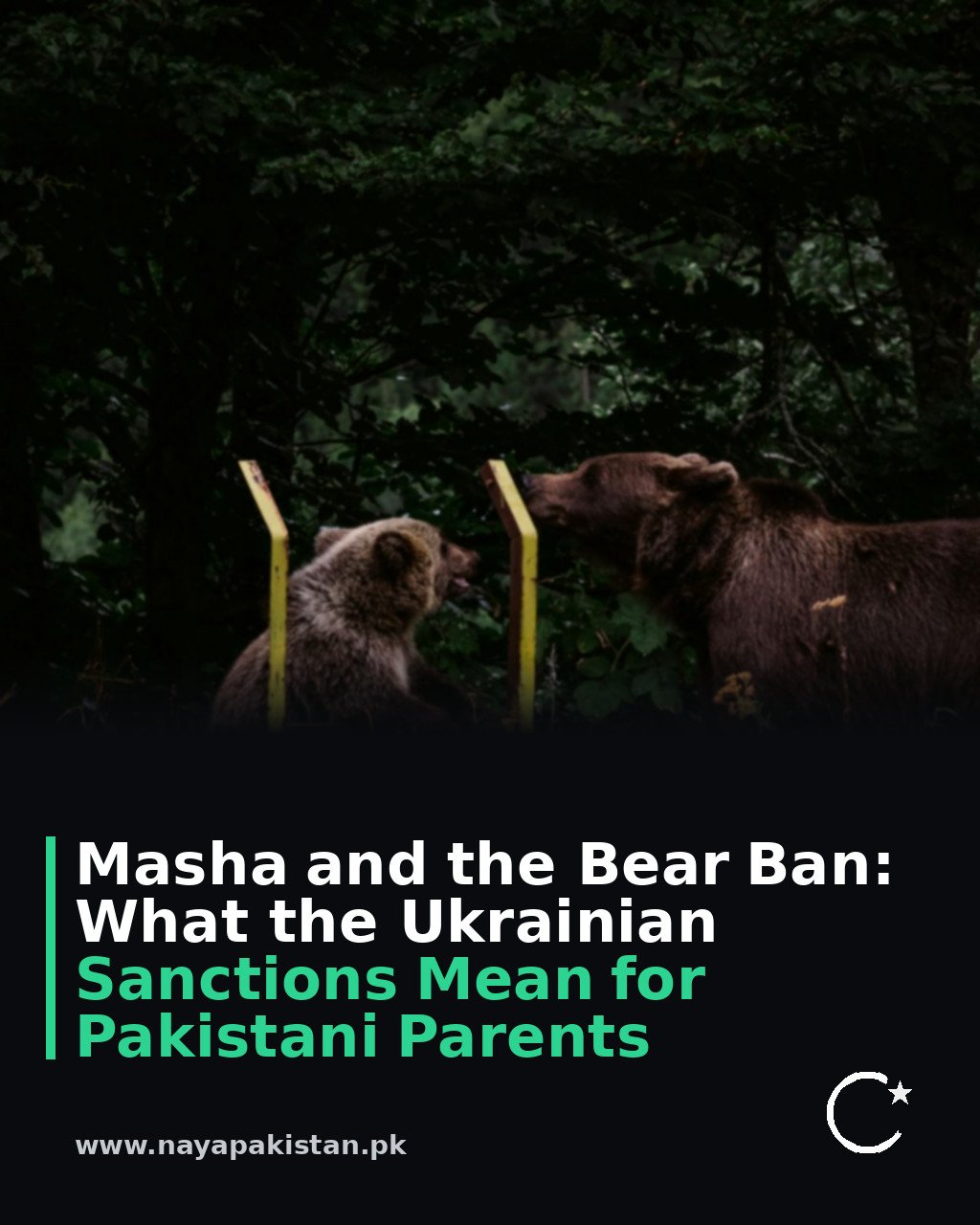 Masha and the Bear Ban: What the Ukrainian Sanctions Mean for Pakistani Parents