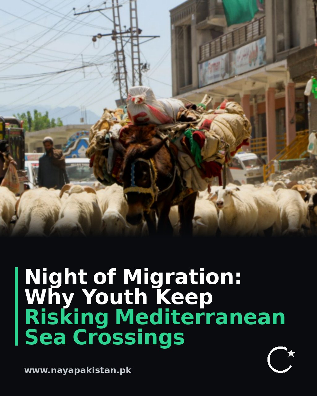 Night of Migration: Why Youth Keep Risking Mediterranean Sea Crossings