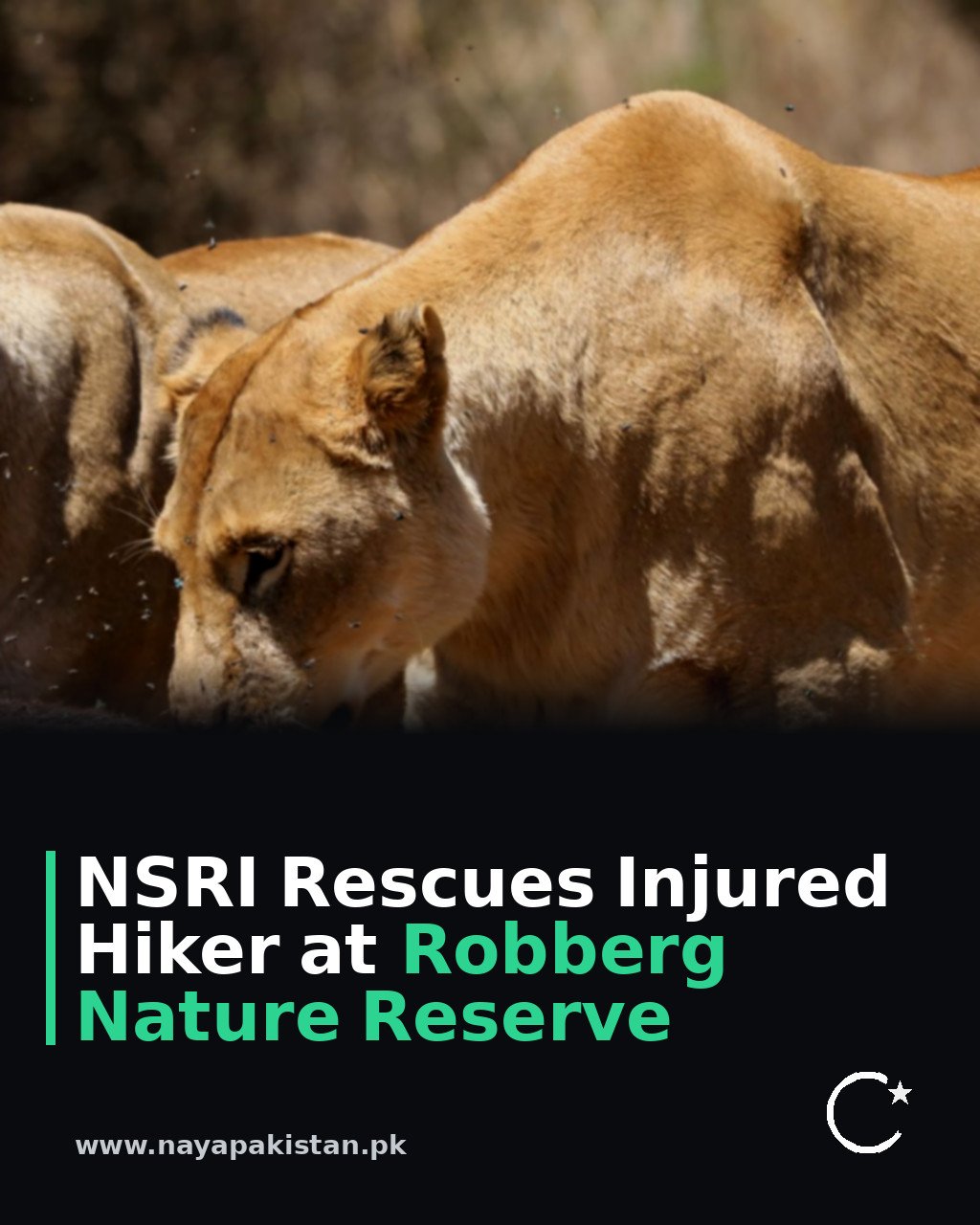 NSRI Rescues Injured Hiker at Robberg Nature Reserve