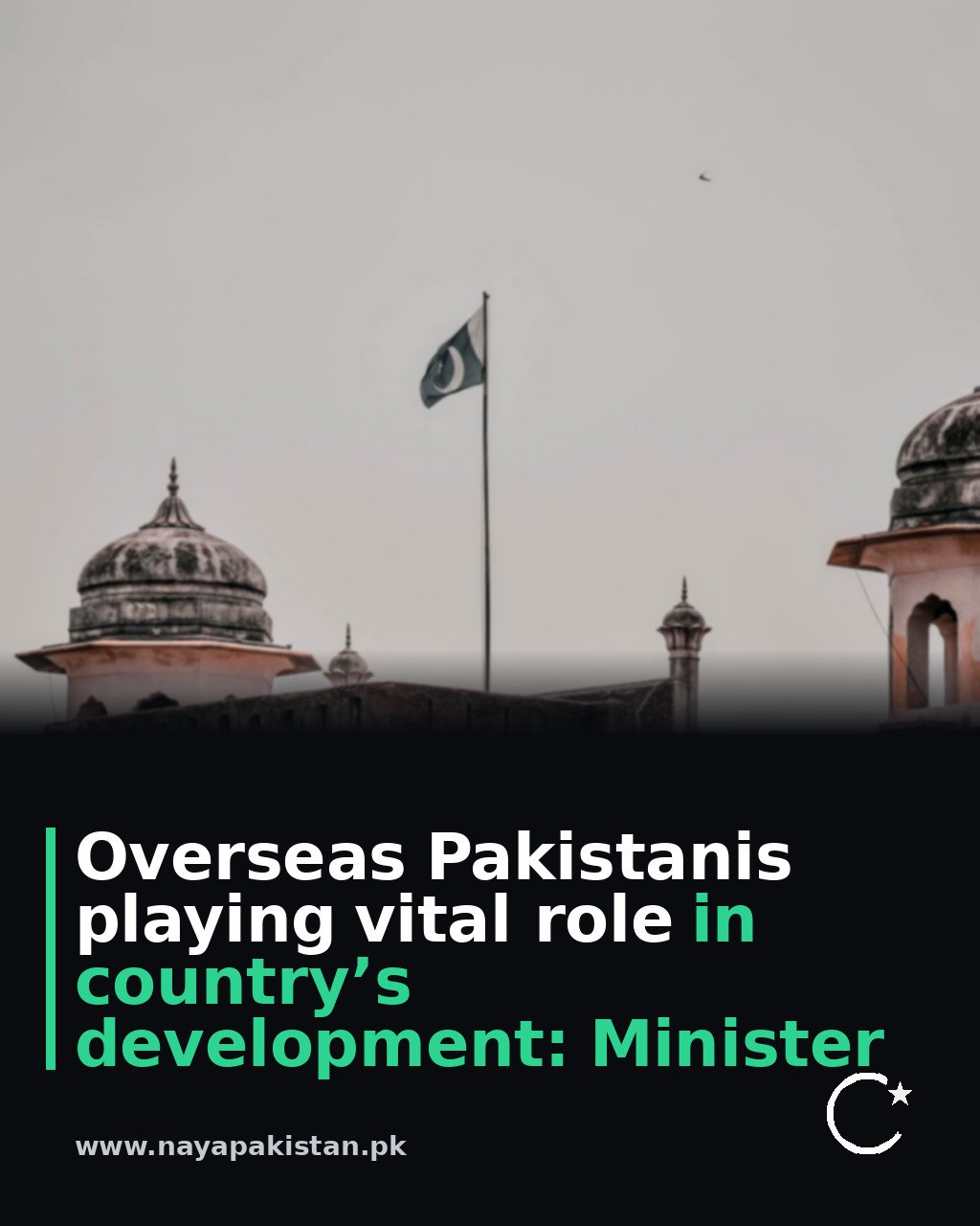 Overseas Pakistanis playing vital role in country’s development: Minister