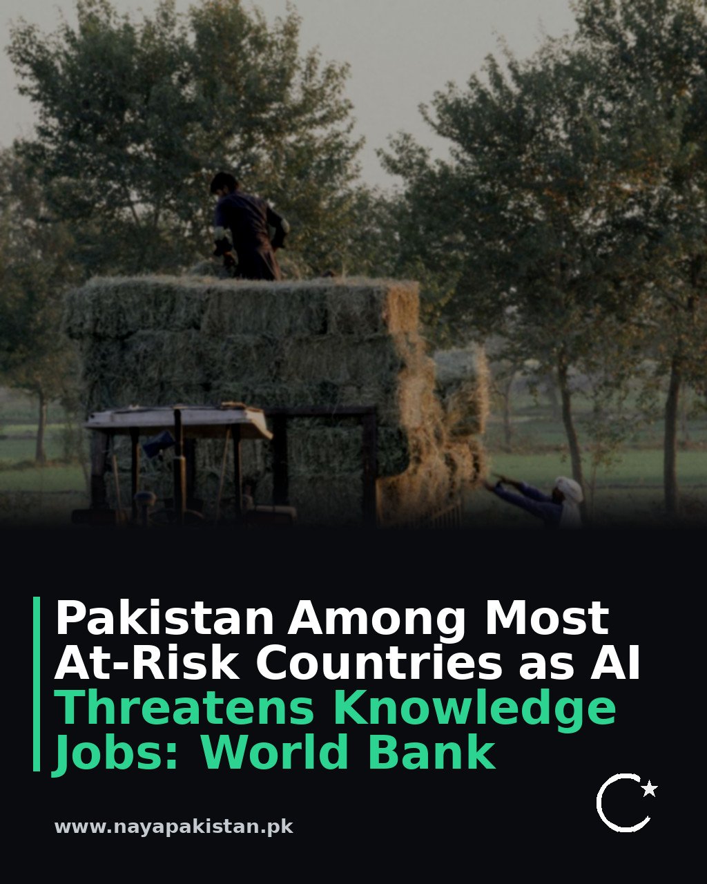 Pakistan Among Most At-Risk Countries as AI Threatens Knowledge Jobs: World Bank
