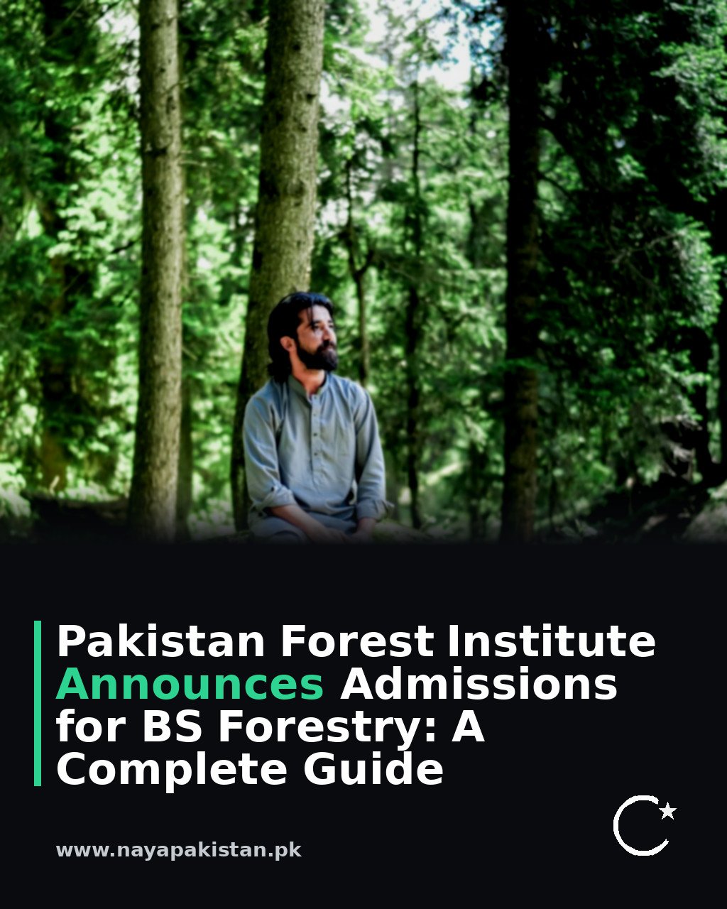 Pakistan Forest Institute Announces Admissions for BS Forestry: A Complete Guide