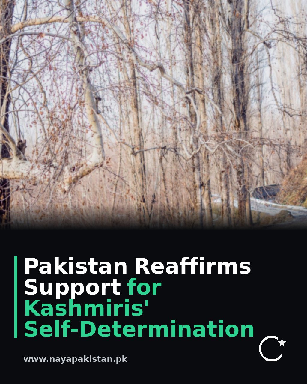 Pakistan Reaffirms Support for Kashmiris' Self-Determination