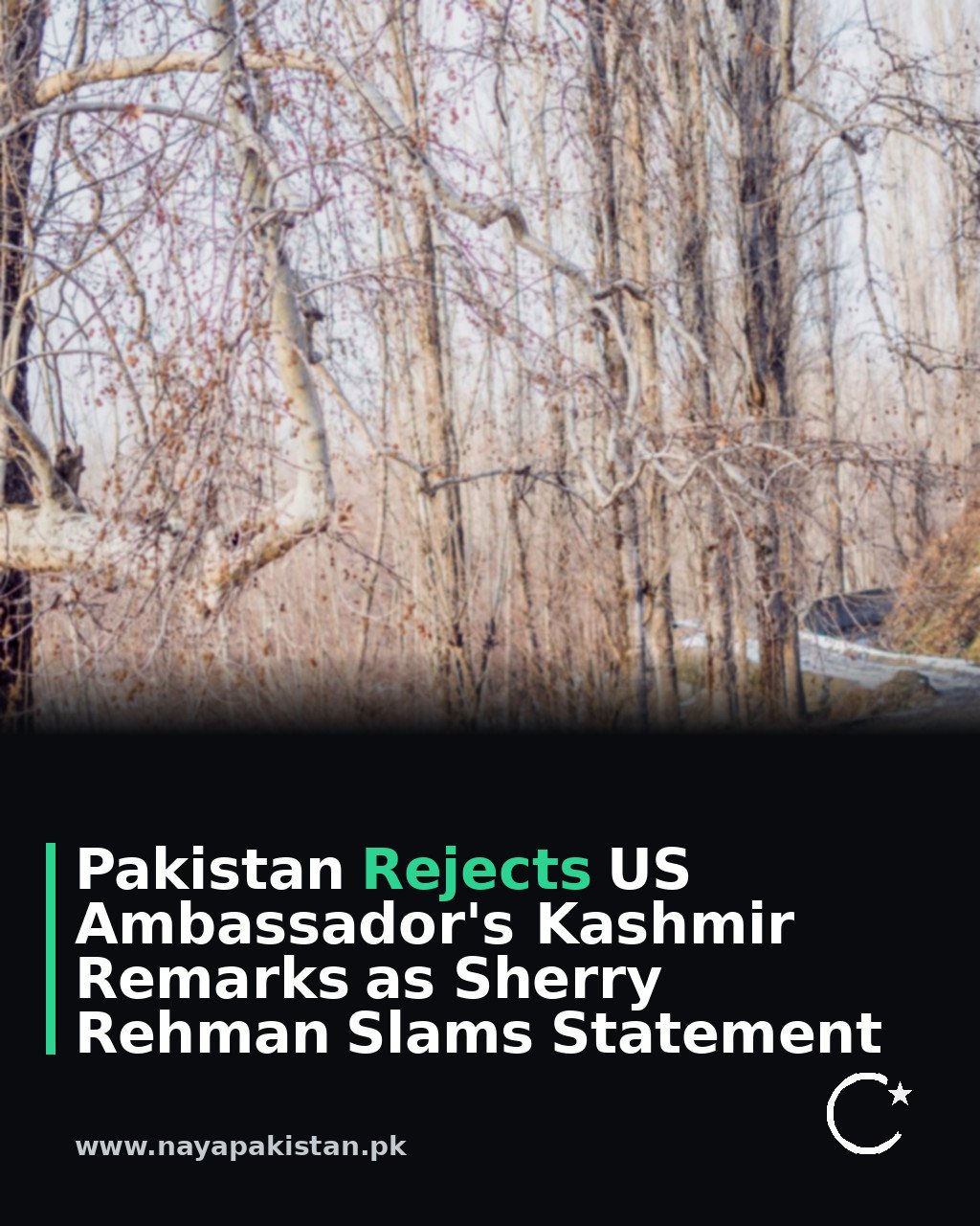 Pakistan Rejects US Ambassador's Kashmir Remarks as Sherry Rehman Slams Statement