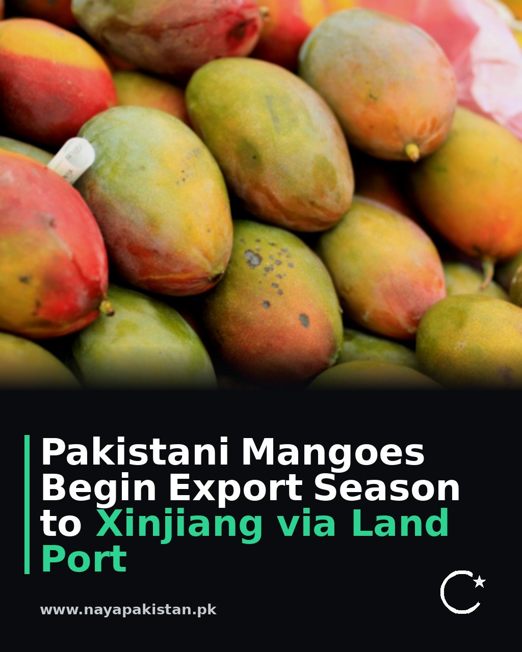 Pakistani Mangoes Begin Export Season to Xinjiang via Land Port