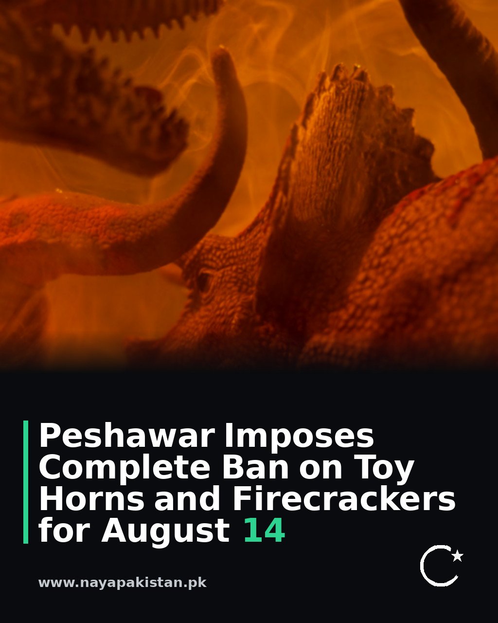Peshawar Imposes Complete Ban on Toy Horns and Firecrackers for August 14